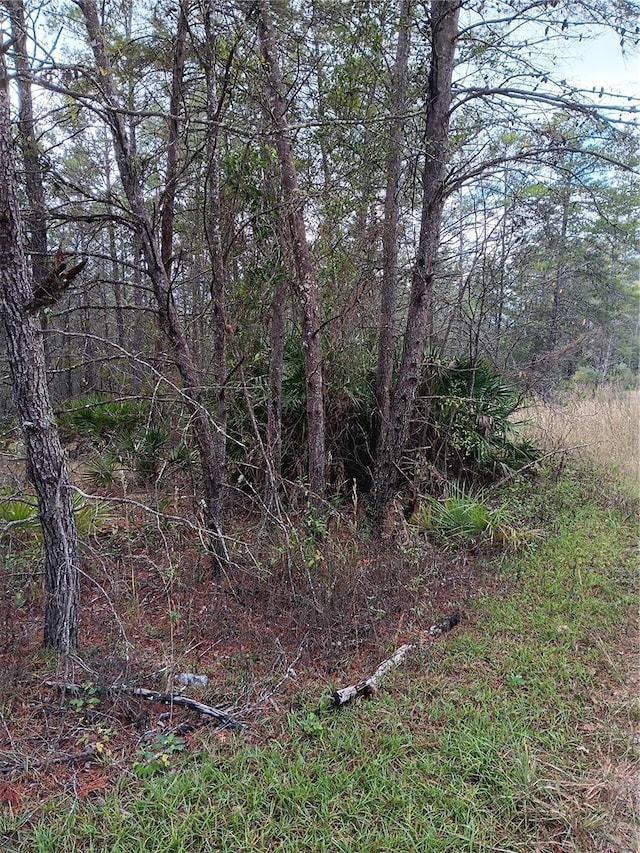 5144 W Osmond Ln, Dunnellon FL, 34433 land for sale