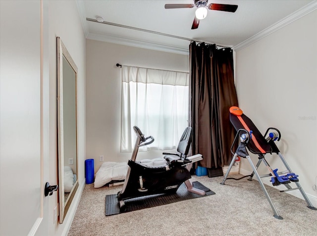 exercise area with carpet, crown molding, and ceiling fan