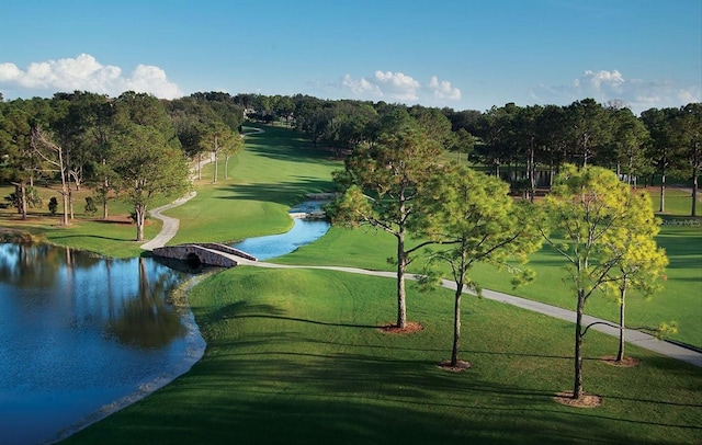 view of community featuring a lawn and a water view