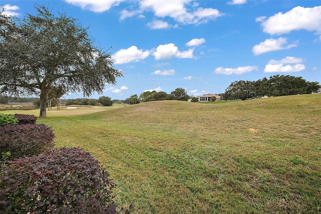 view of yard featuring a rural view