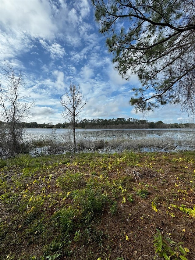 Keene Rd, Altoona FL, 32702 land for sale