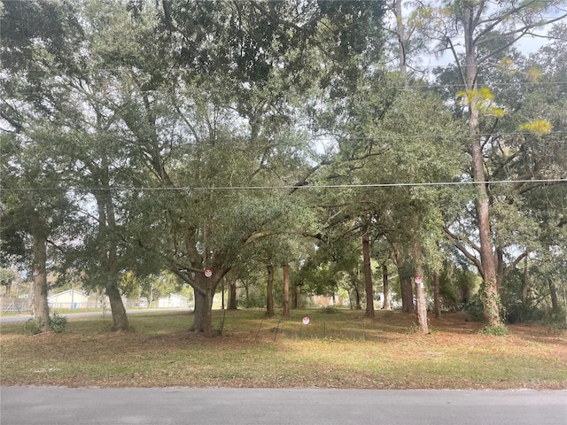 Listing photo 3 for Veva Ave, Paisley FL 32767