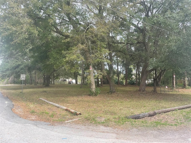 Veva Ave, Paisley FL, 32767 land for sale