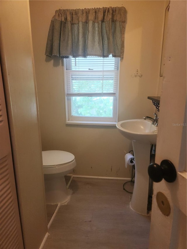 bathroom with hardwood / wood-style floors and toilet