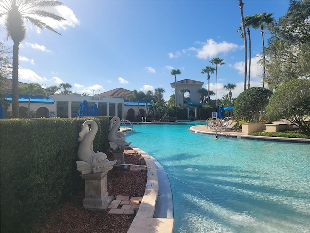 view of swimming pool