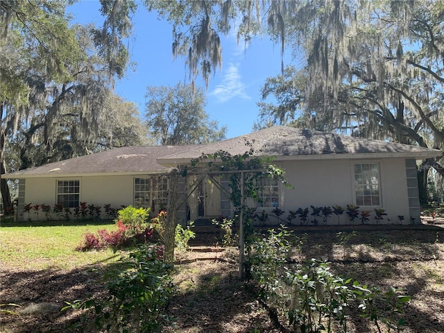 back of house featuring a yard