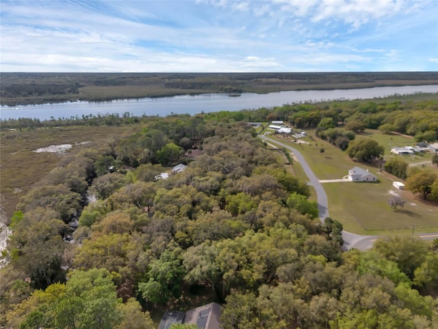 drone / aerial view with a water view