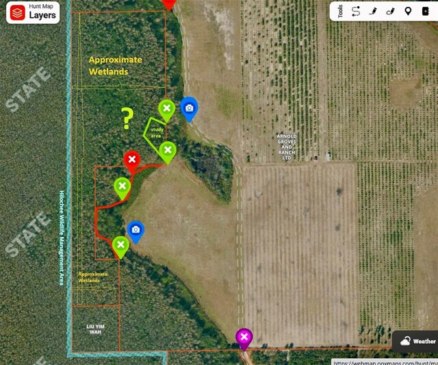 S Boggy Marsh Rd, Clermont, FL 34711 - photo 6