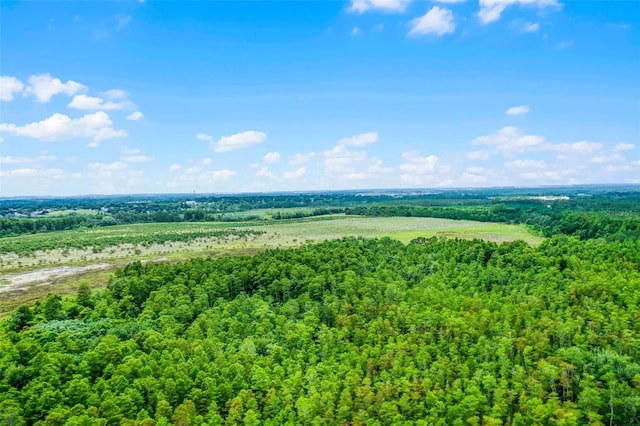 S Boggy Marsh Rd, Clermont, FL 34711 - photo 13