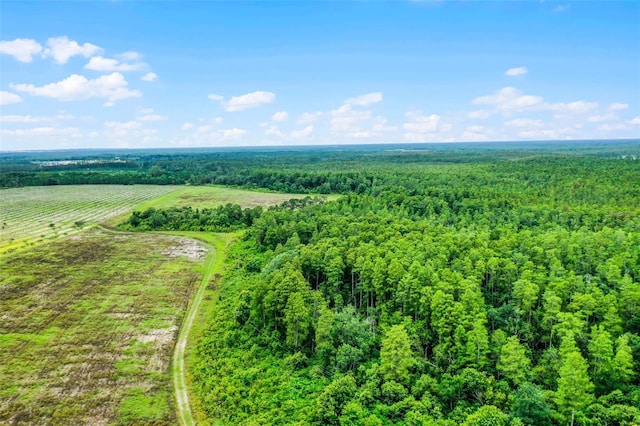 S Boggy Marsh Rd, Clermont, FL 34711 - photo 17