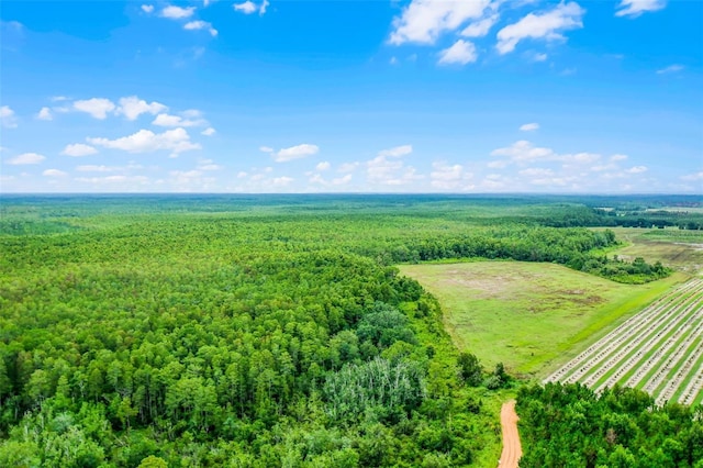 S Boggy Marsh Rd, Clermont, FL 34711 - photo 19