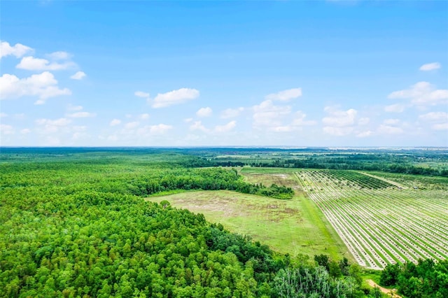 S Boggy Marsh Rd, Clermont, FL 34711 - photo 20