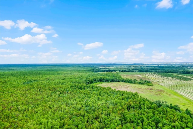 S Boggy Marsh Rd, Clermont, FL 34711 - photo 21