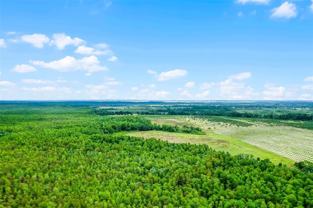 S Boggy Marsh Rd, Clermont, FL 34711 - photo 4