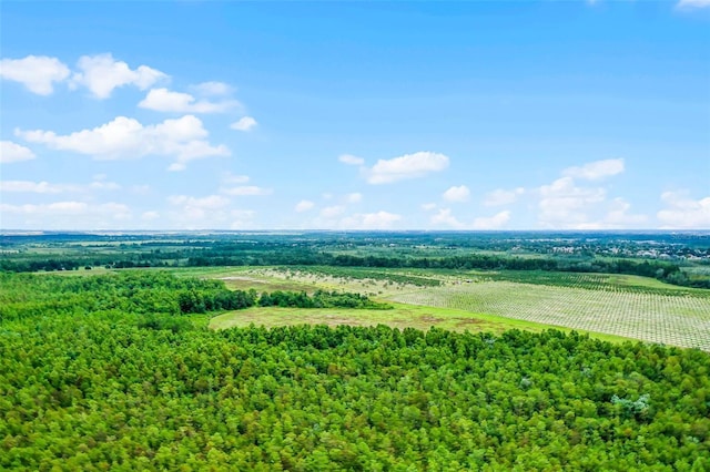 S Boggy Marsh Rd, Clermont, FL 34711 - photo 22