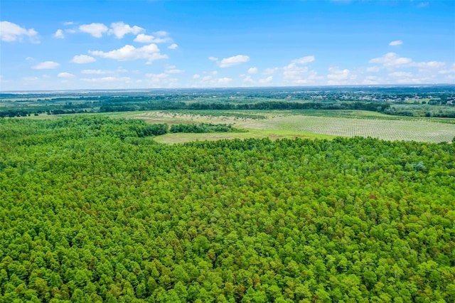 S Boggy Marsh Rd, Clermont, FL 34711 - photo 23