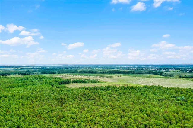 S Boggy Marsh Rd, Clermont, FL 34711 - photo 24