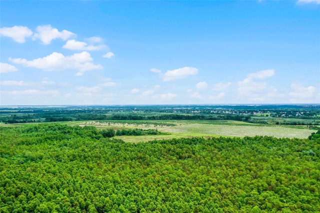 S Boggy Marsh Rd, Clermont, FL 34711 - photo 25