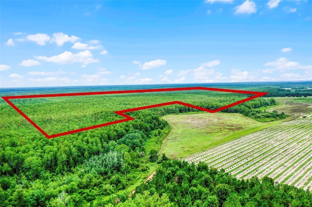 S Boggy Marsh Rd, Clermont, FL 34711 - photo 1