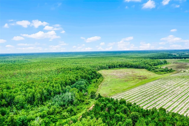 S Boggy Marsh Rd, Clermont, FL 34711 - photo 2