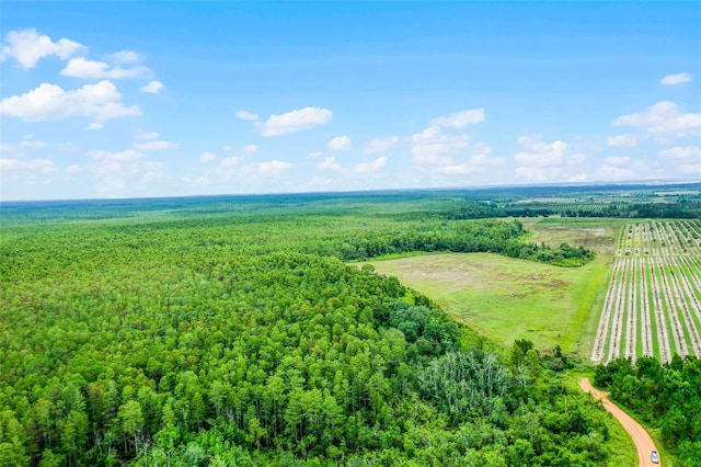 S Boggy Marsh Rd, Clermont, FL 34711 - photo 3
