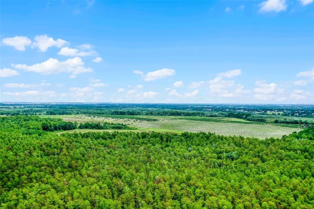 S Boggy Marsh Rd, Clermont, FL 34711 - photo 10