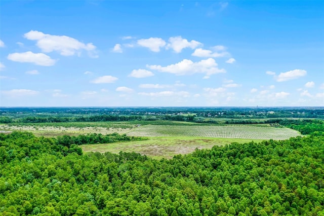 S Boggy Marsh Rd, Clermont, FL 34711 - photo 11