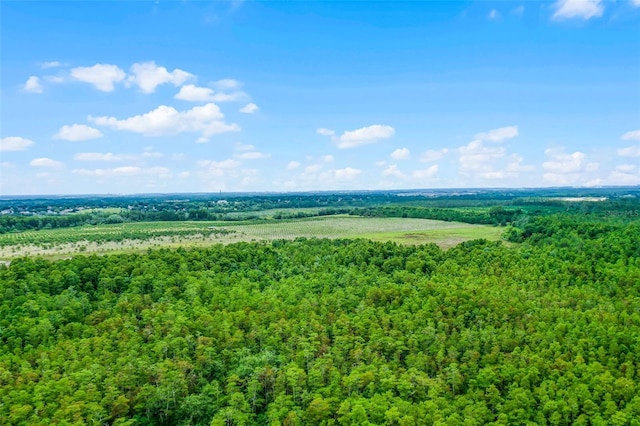S Boggy Marsh Rd, Clermont, FL 34711 - photo 12
