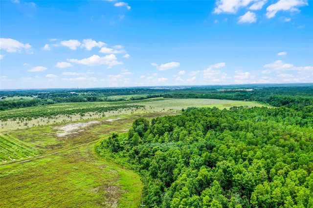 S Boggy Marsh Rd, Clermont, FL 34711 - photo 14