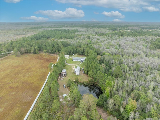 view of bird's eye view