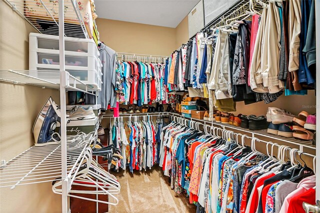 spacious closet featuring carpet floors