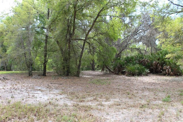 3134 Bright Lake Cir Lot 67, Leesburg, FL 34748 - photo 1