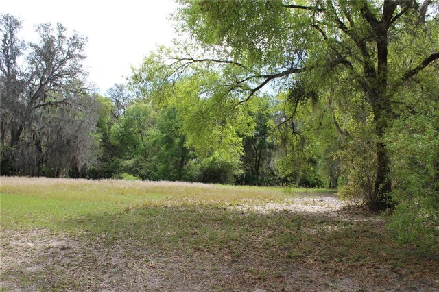 3134 Bright Lake Cir Lot 67, Leesburg, FL 34748 - photo 6