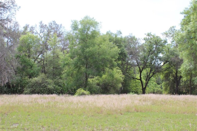 3134 Bright Lake Cir Lot 67, Leesburg, FL 34748 - photo 7