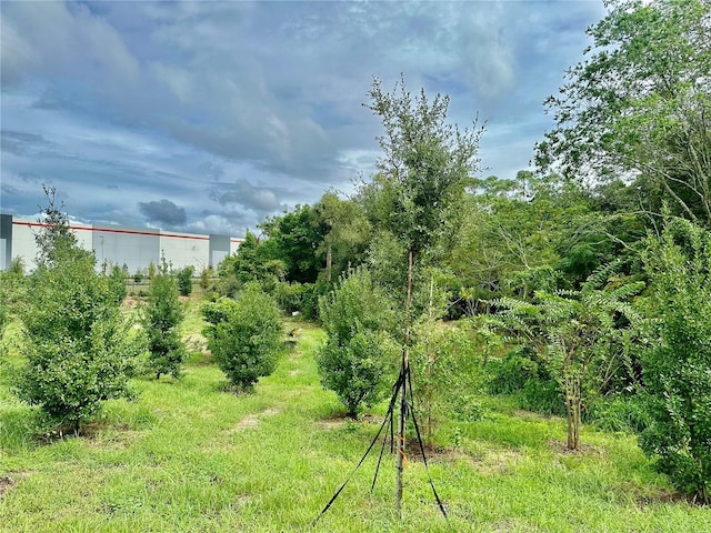 1250 Ocoee Apopka Rd, Apopka, FL 32703