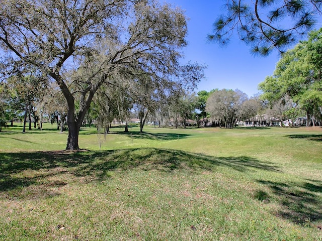 view of property's community featuring a yard