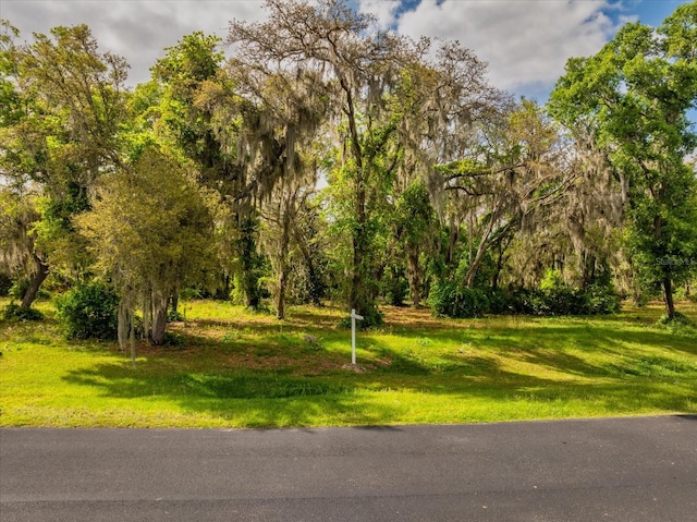 3118 Bright Lake Cir Lot 59, Leesburg FL, 34748 land for sale