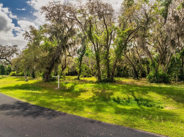 Listing photo 2 for 3118 Bright Lake Cir Lot 59, Leesburg FL 34748