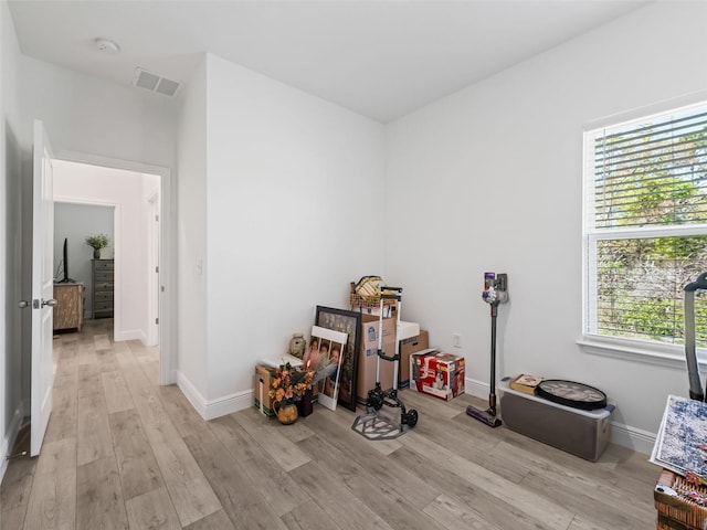 miscellaneous room featuring a healthy amount of sunlight and light wood-type flooring