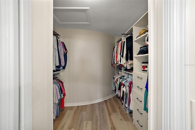 spacious closet with light wood-type flooring