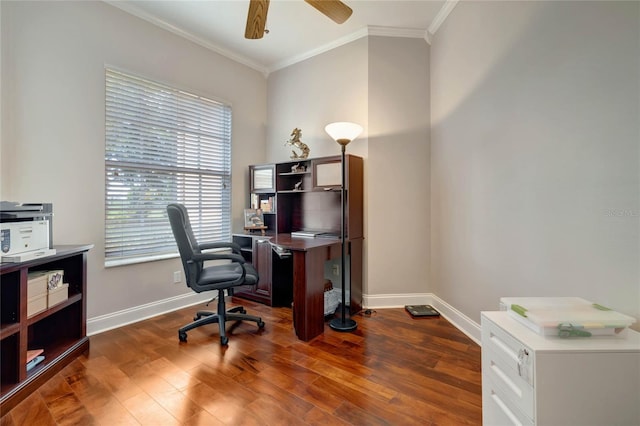 office area featuring ceiling fan, dark hardwood / wood-style floors, and crown molding