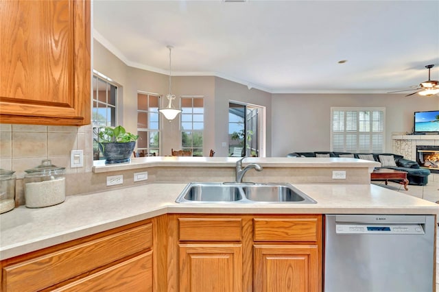 kitchen featuring stainless steel dishwasher, a fireplace, sink, and a wealth of natural light