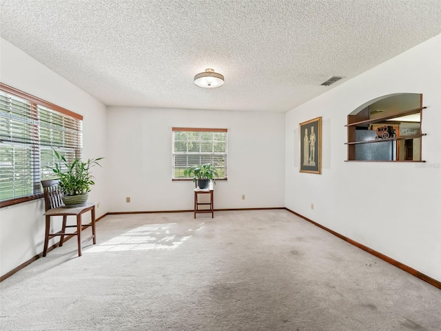 empty room with light colored carpet and a textured ceiling