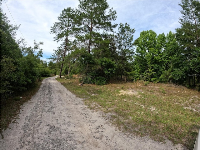 43928 Sterling Rd, Paisley FL, 32767 land for sale