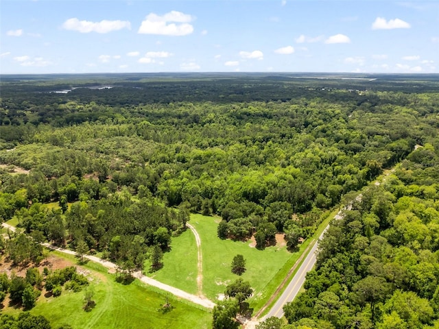 SE 182nd Avenue Rd, Ocklawaha FL, 32179 land for sale