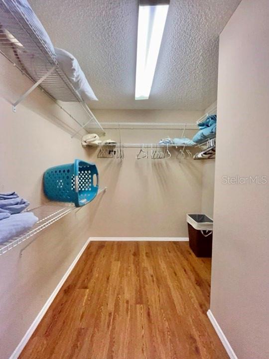 spacious closet with hardwood / wood-style floors