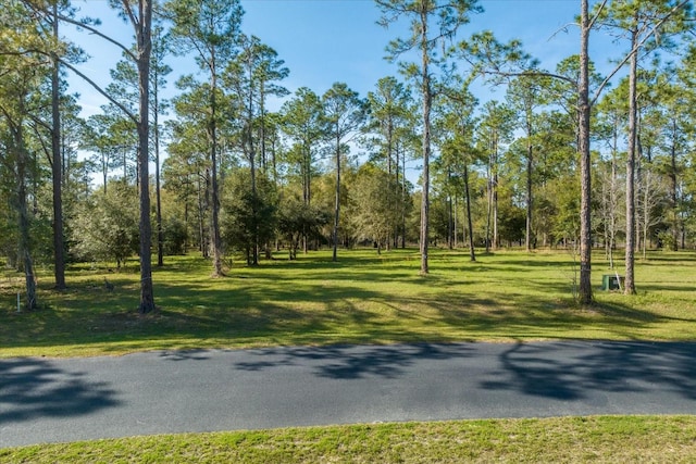 37 Bonsmara Dr, Groveland FL, 34736 land for sale