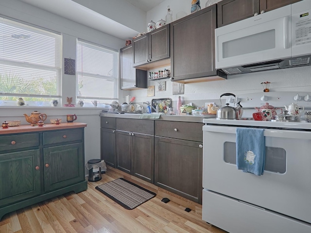 kitchen featuring white appliances, backsplash, light hardwood / wood-style floors, and dark brown cabinetry