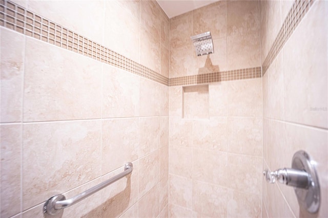 interior details with tiled shower