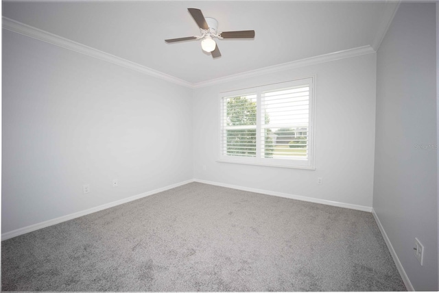 carpeted spare room with ceiling fan and crown molding